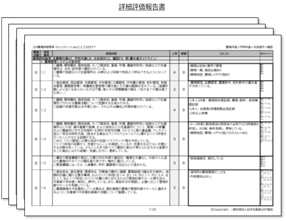 詳細評価報告書