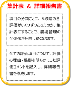 集計表＆詳細報告書