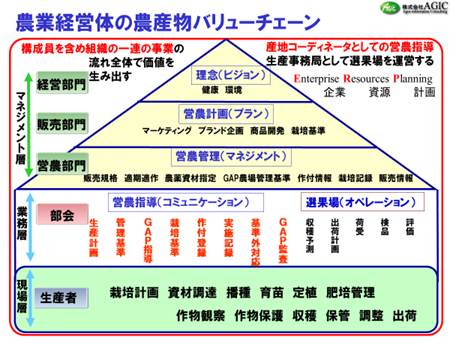 農業経営体の農産物バリューチェーン