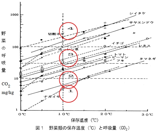 野菜類の保存温度と呼吸量