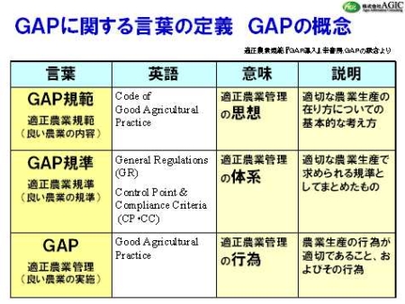 GAPの概念