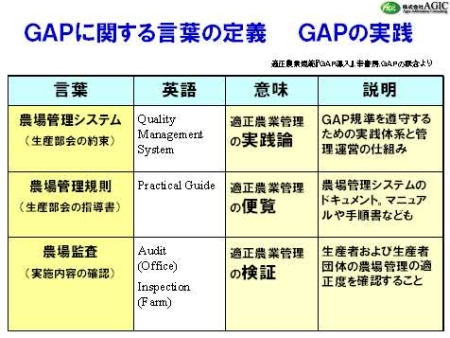 GAPの実践