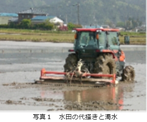 水田の代掻きと濁水度