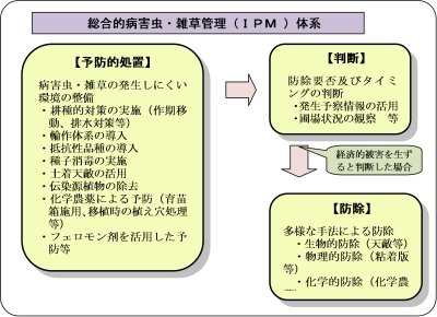 総合的病害虫・雑草管理（ＩＰＭ ）体系