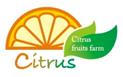 株式会社Citrus